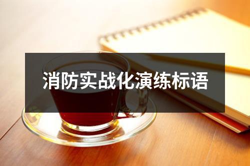 消防实战化演练标语