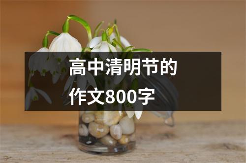 高中清明节的作文800字