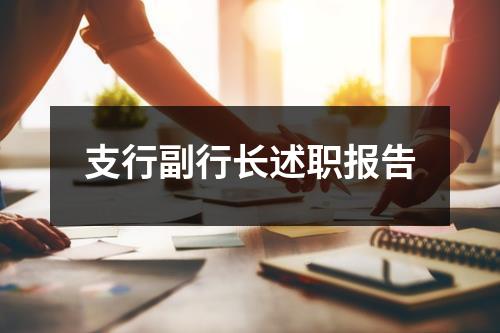 支行副行长述职报告