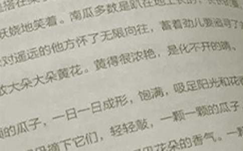 第二学期小学语文教学工作计划范文